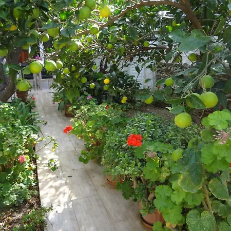 Holiday home Cozy Citrus Garden House By The Seaside. *