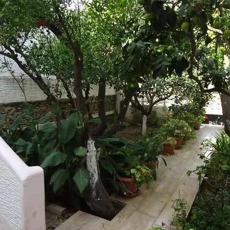 Vakantiehuis Cozy Citrus Garden House By The Seaside.