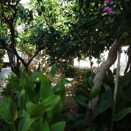 Vakantiehuis Cozy Citrus Garden House By The Seaside. Khónias