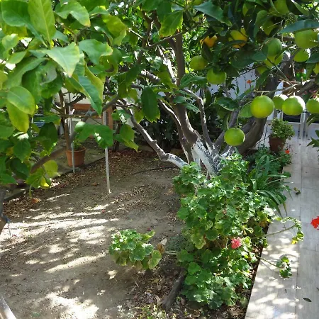 Cozy Citrus Garden House By The Seaside.