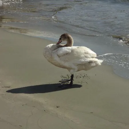 Dom wakacyjny Cozy Citrus Garden House By The Seaside. Khónias