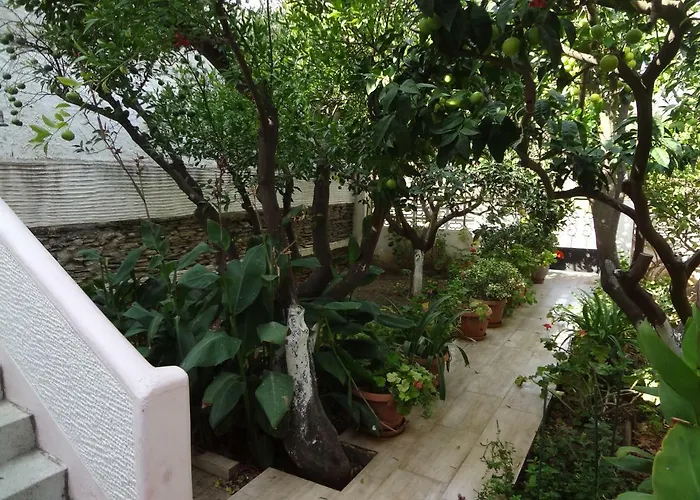 Prázdninový dům Cozy Citrus Garden House By The Seaside.